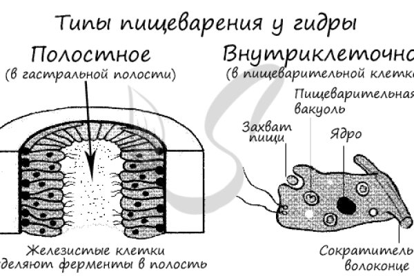 Кракен зеркало ссылка онлайн