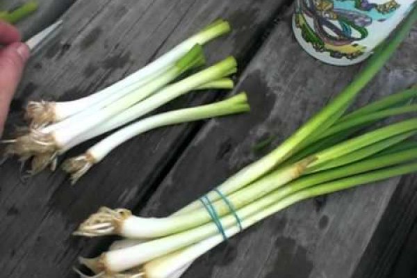 Украли аккаунт на кракене